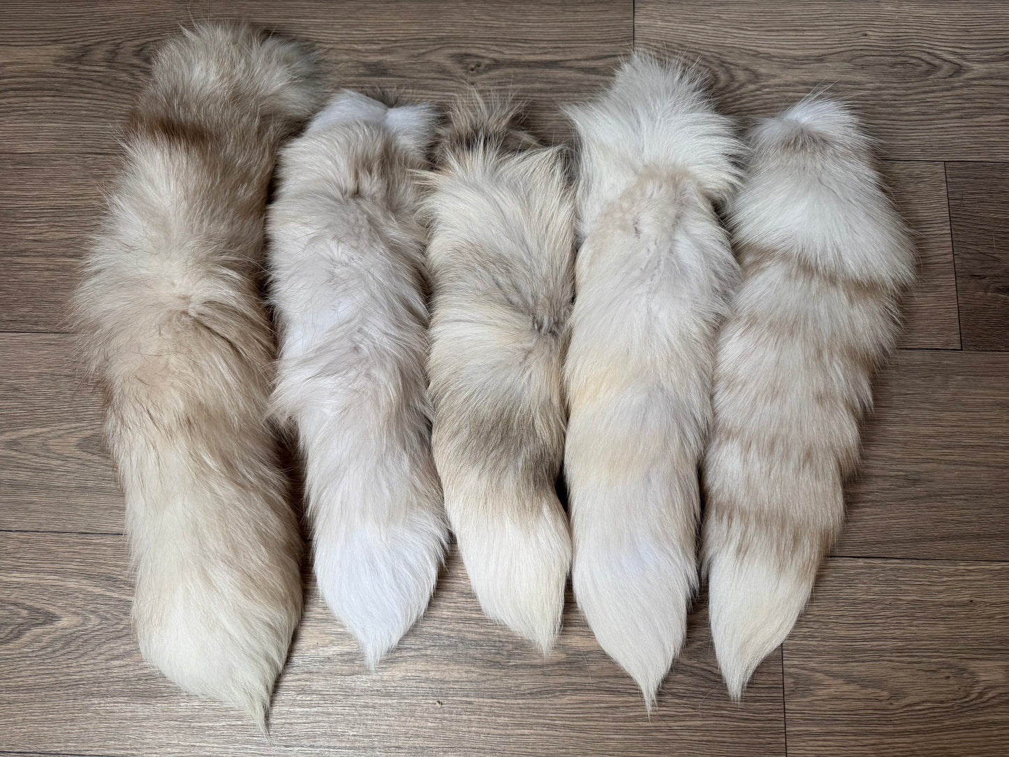 B grade tails