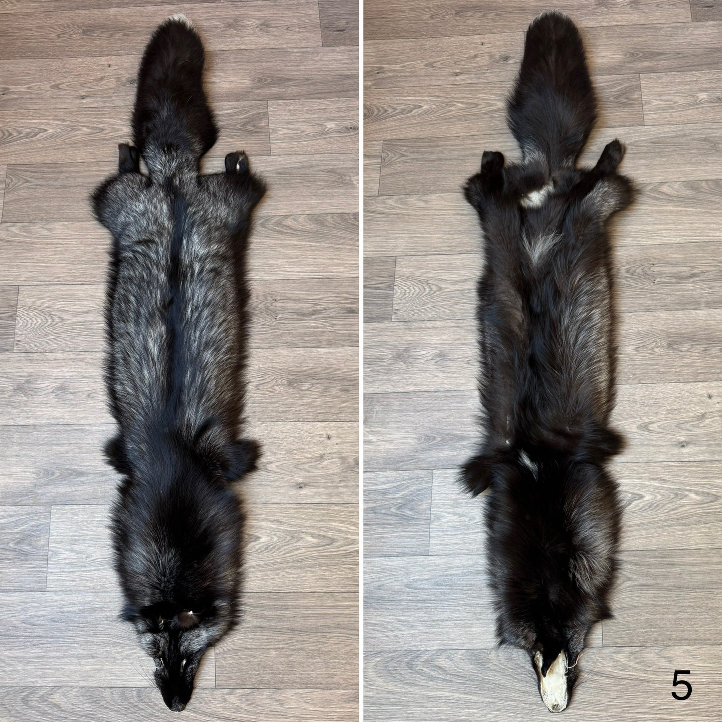 Silver fox pelt (5)