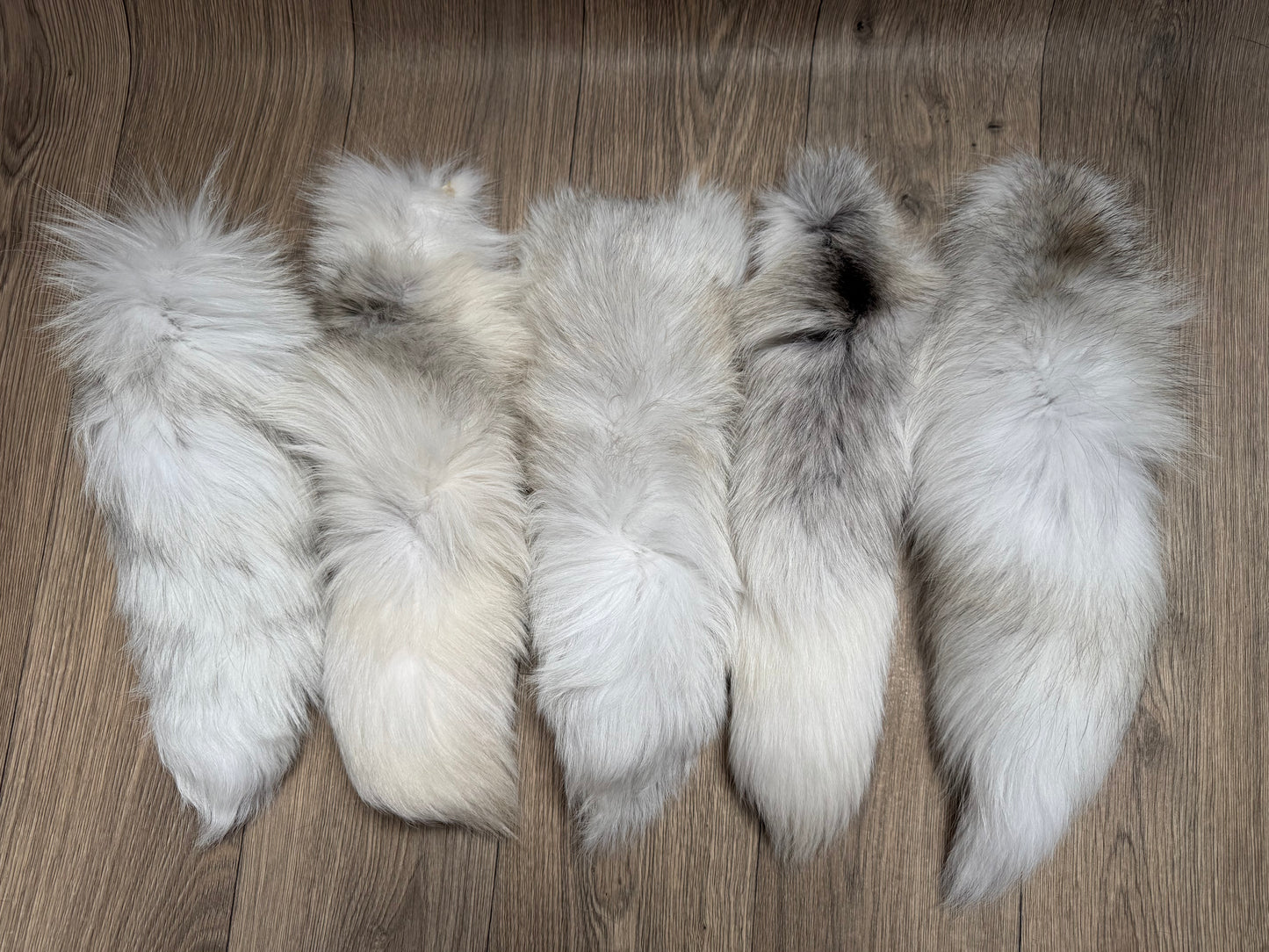 B grade tails