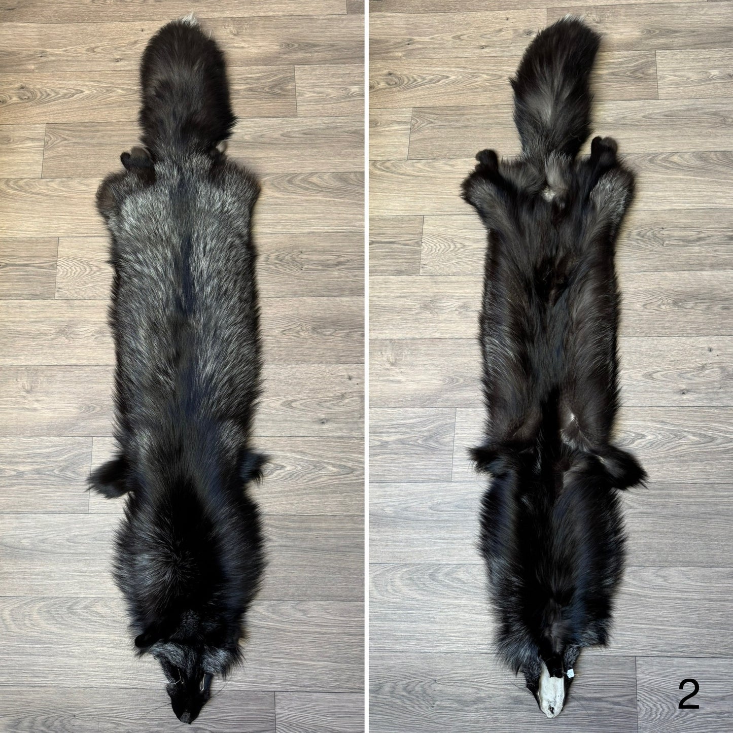 Silver fox pelt (2)