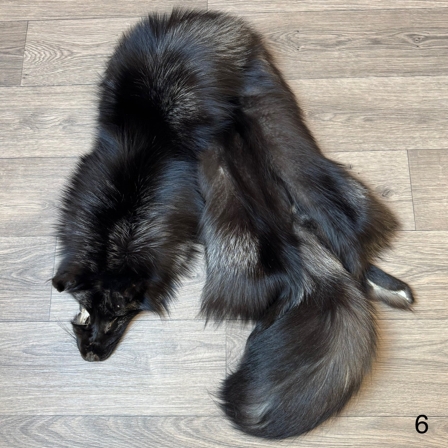 Silver fox pelt (6)