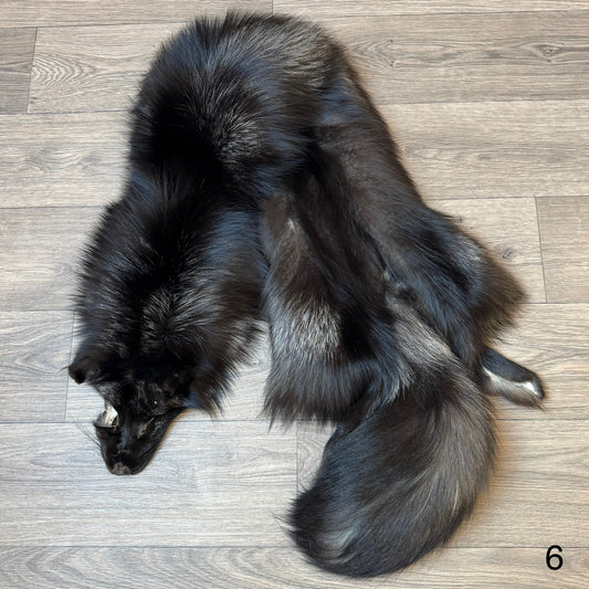 Silver fox pelt (6)