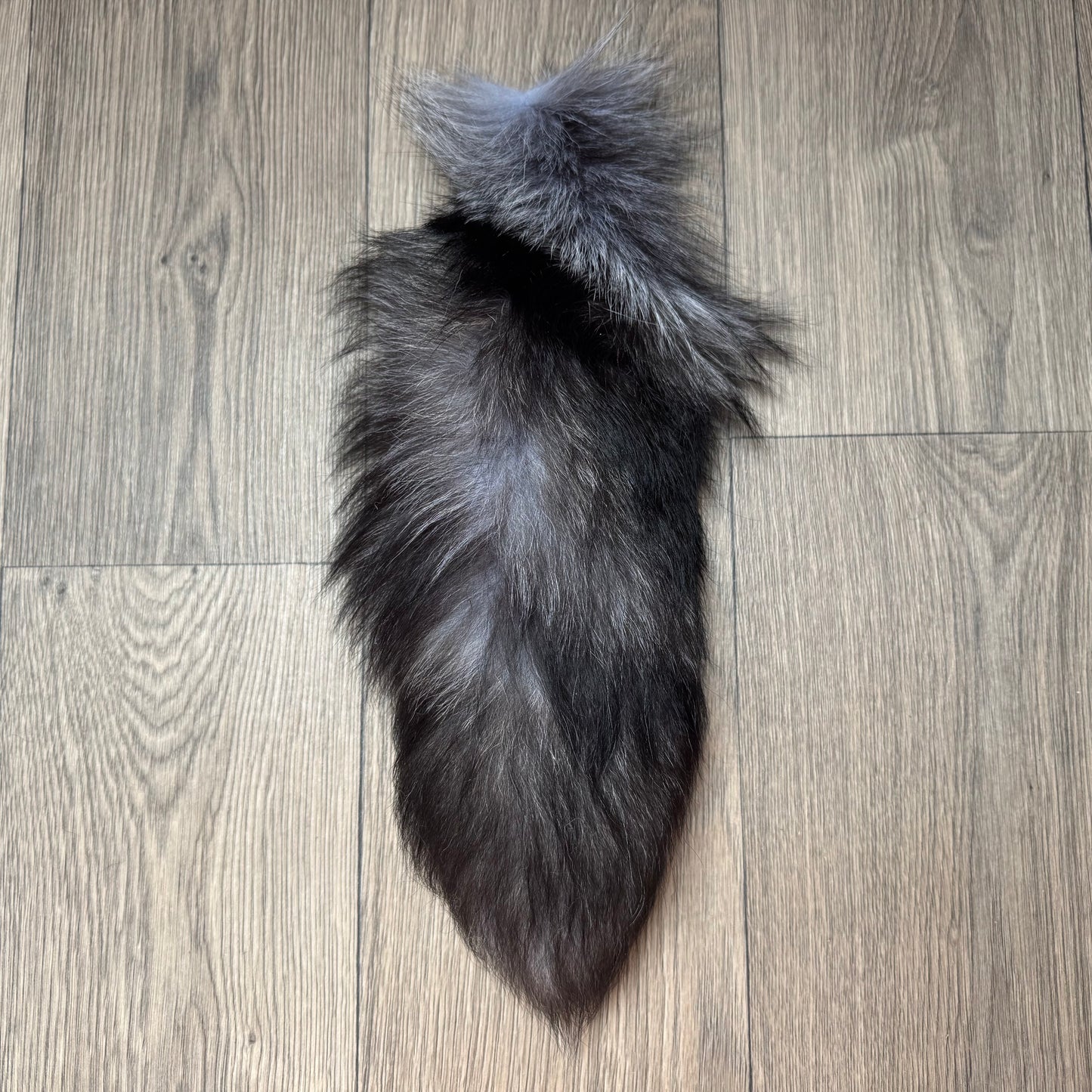 B grade tails