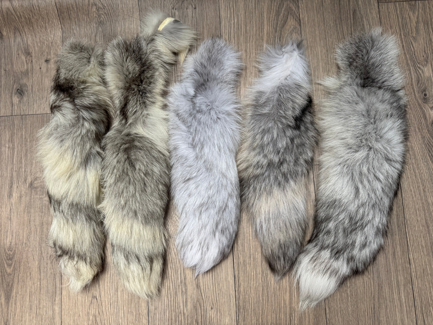 B grade tails