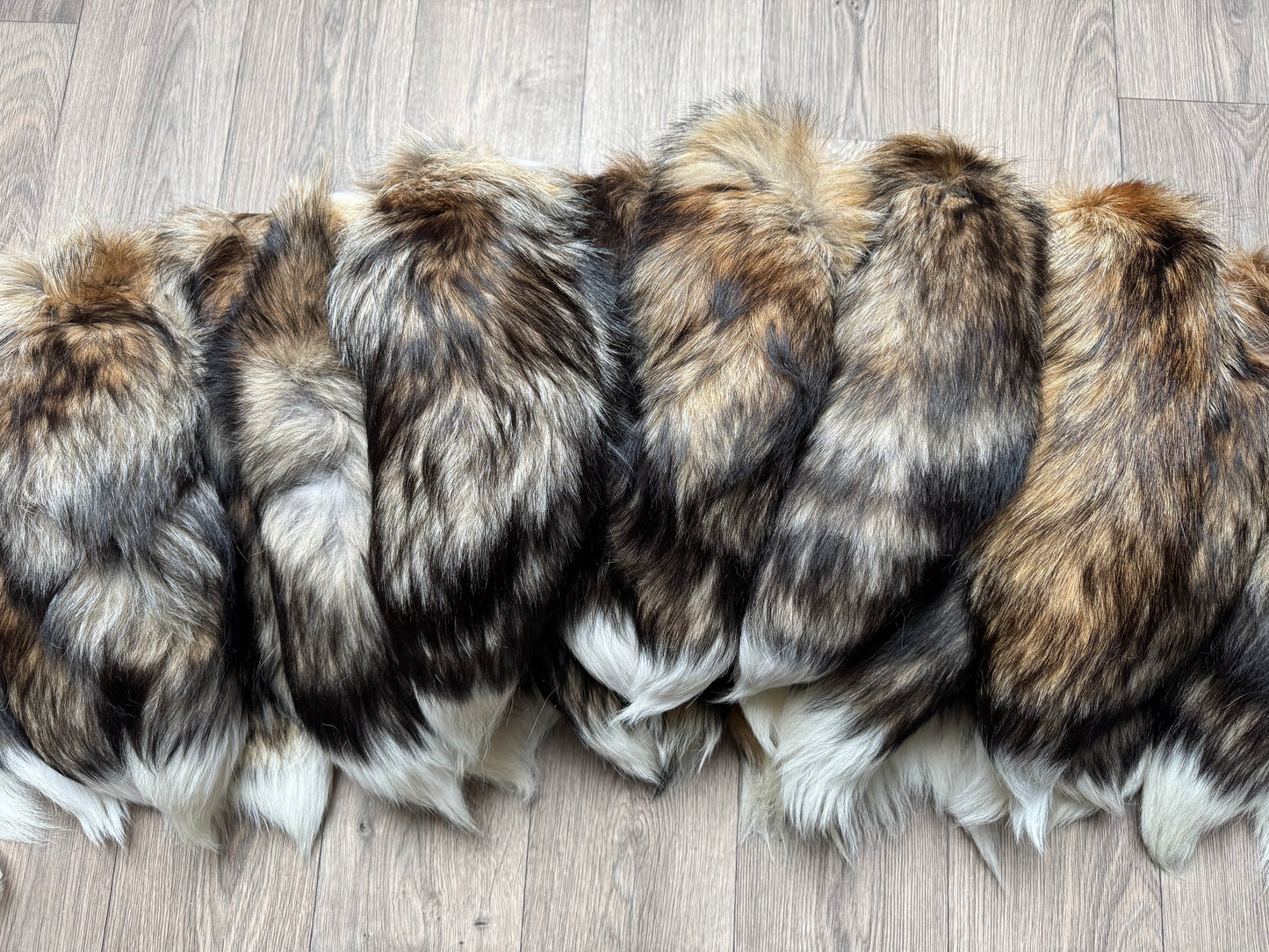 B grade tail (1 tail)