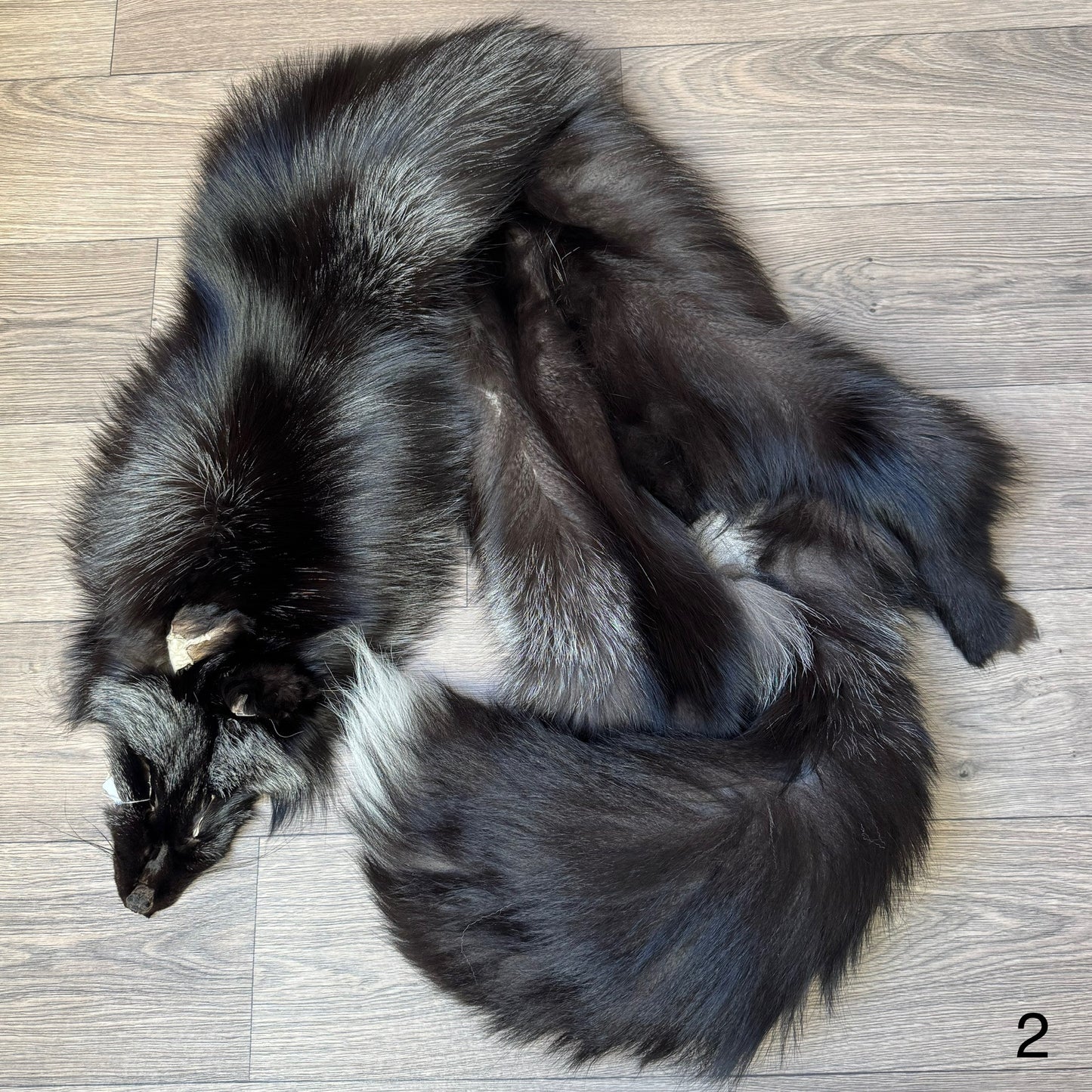 Silver fox pelt (2)