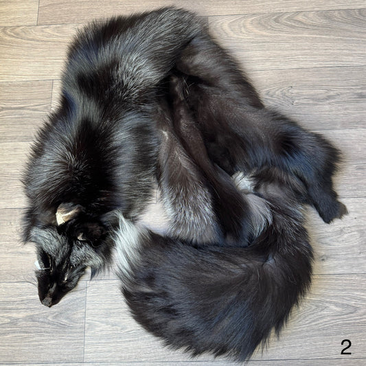 Silver fox pelt (2)