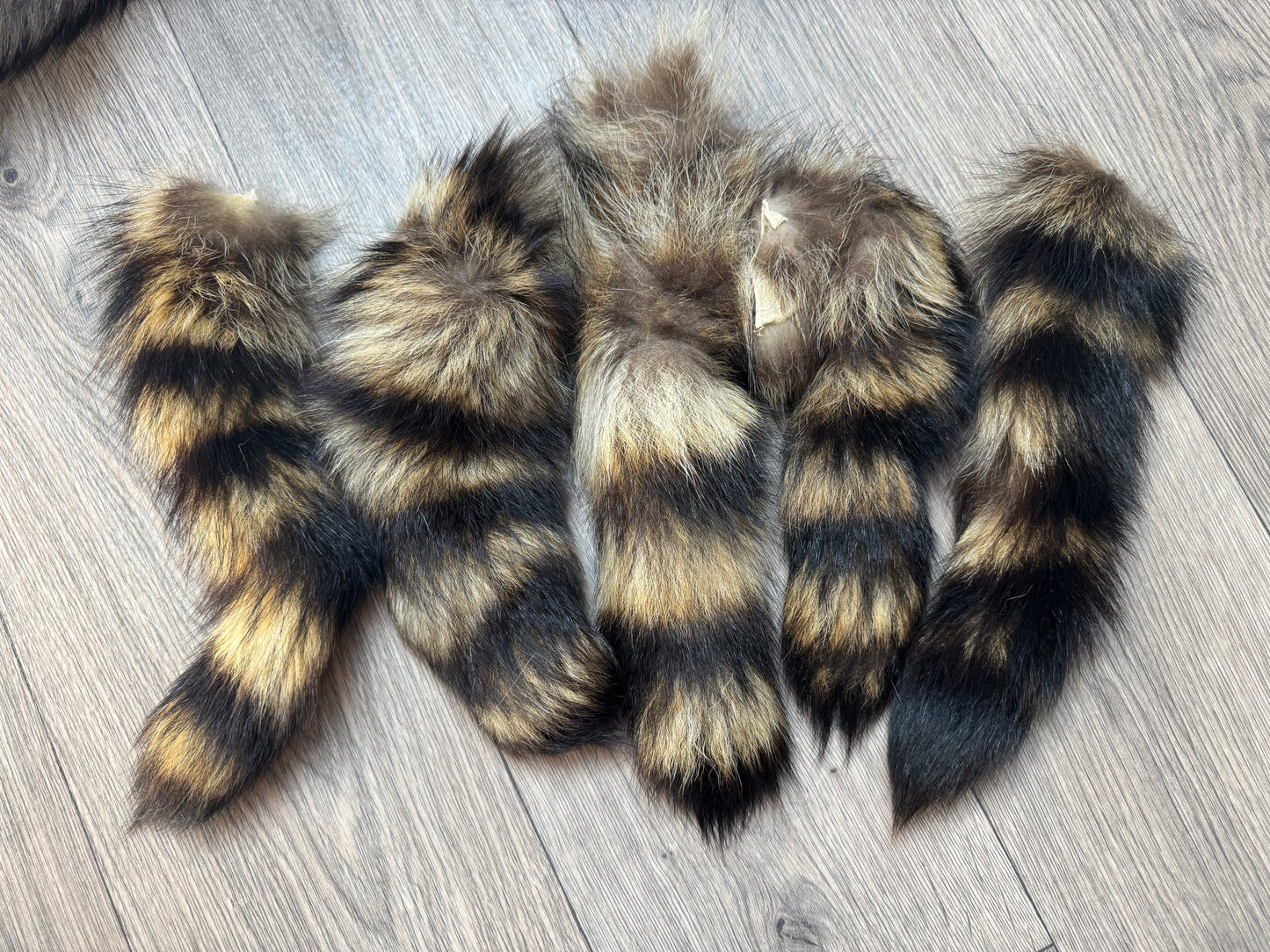 B grade tails
