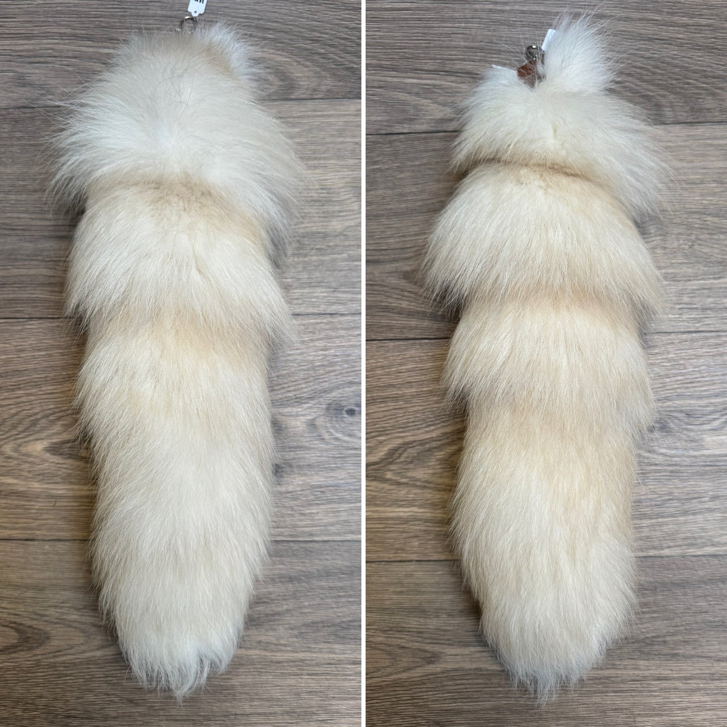 Palomino Frost fox tail keychain (144)