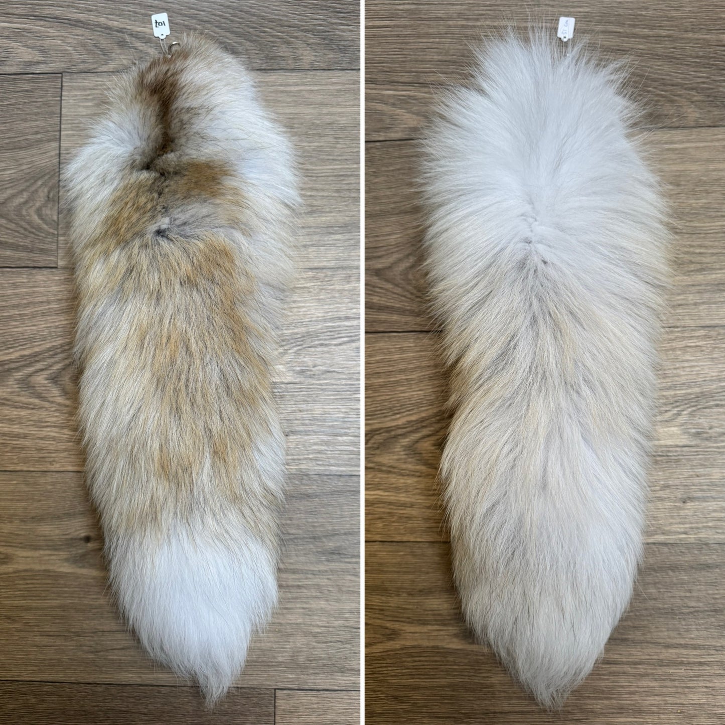Arctic Golden Island fox tail keychain (107)