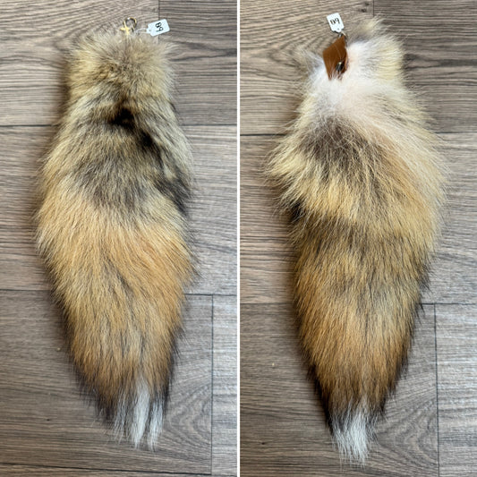 Coyote tail keychain (68)