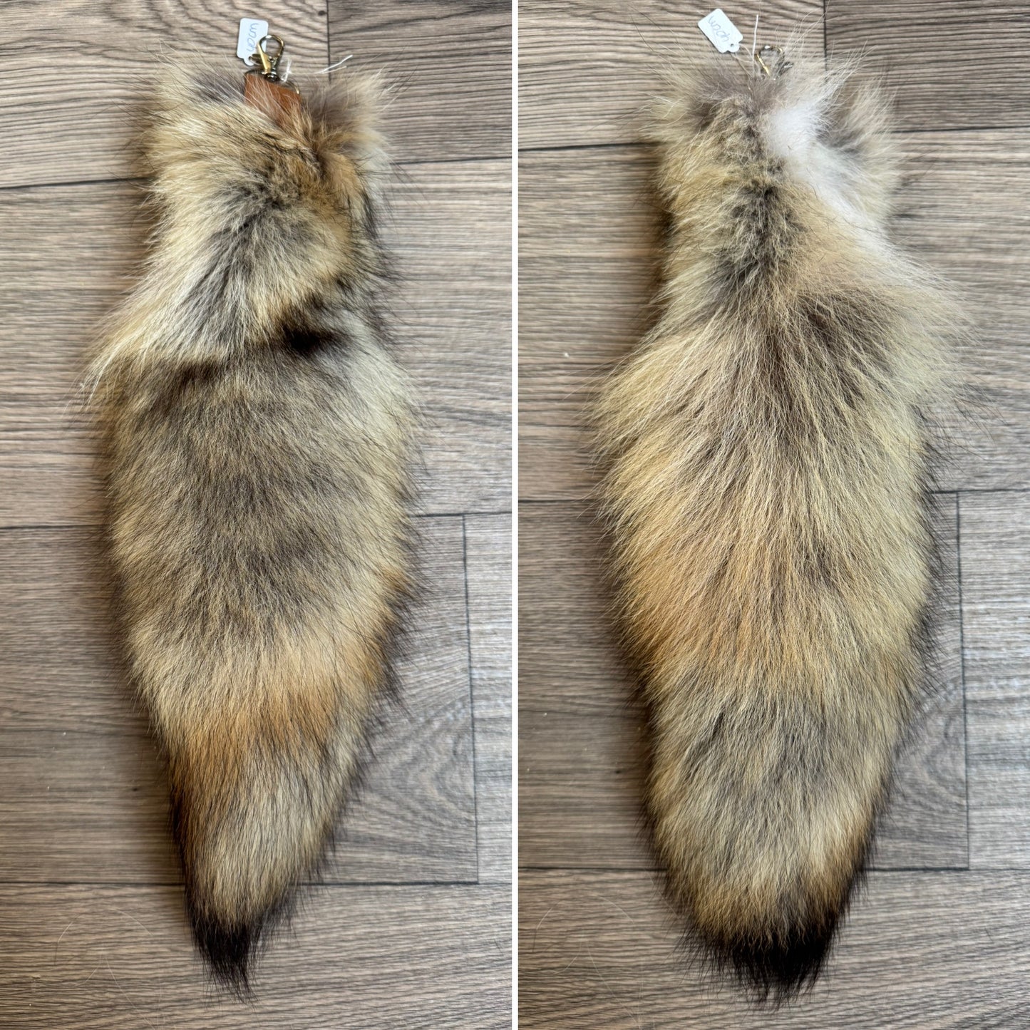 Coyote tail keychain (93)