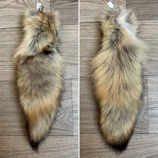 Coyote tail keychain (93)