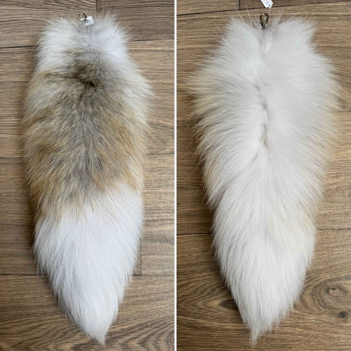Arctic Golden Island fox tail keychain (90)