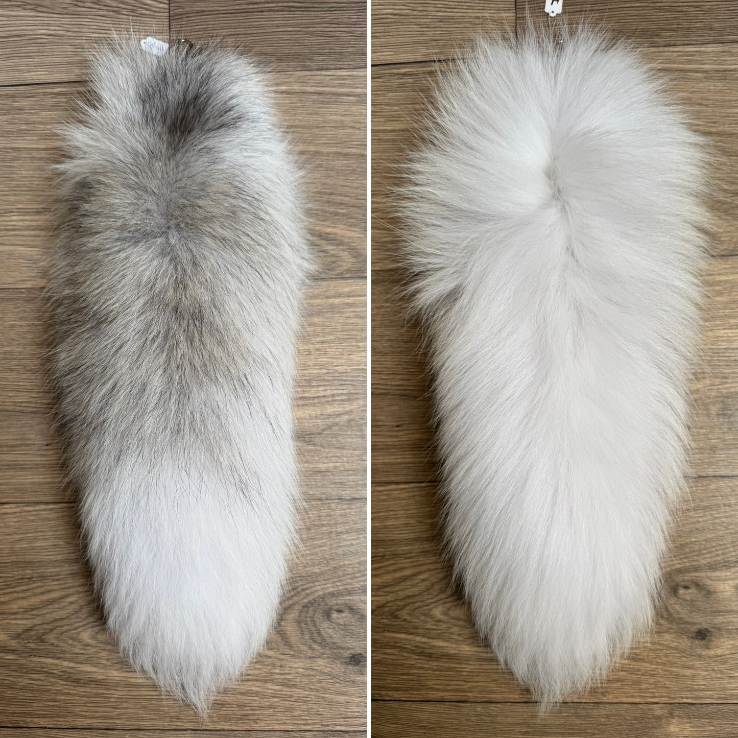 Arctic Golden Island fox tail keychain (66)