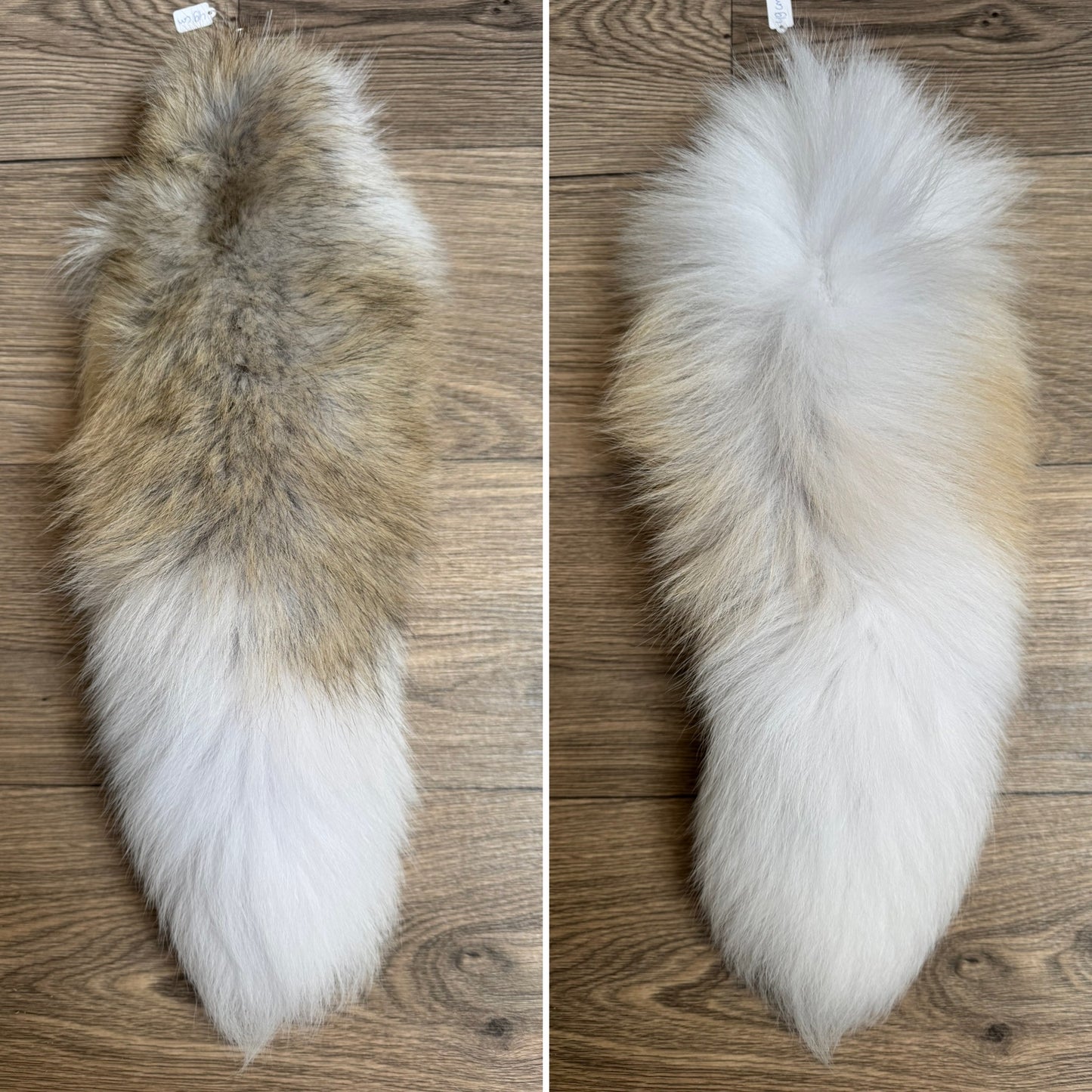 Arctic Golden Island fox tail keychain (85)