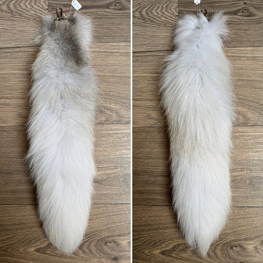 Arctic Golden Island fox tail keychain (119)