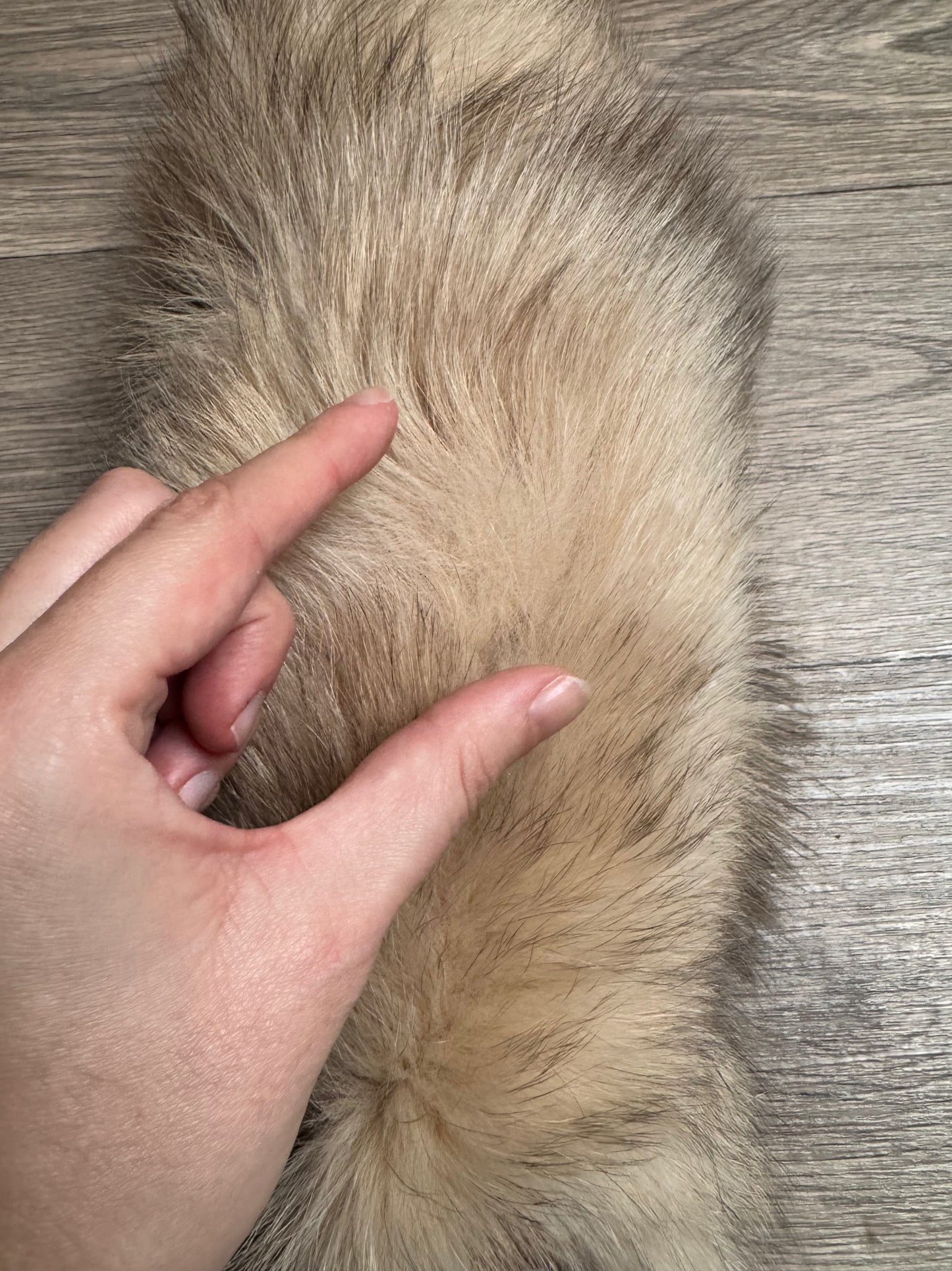 Crystal fox tail keychain (37)