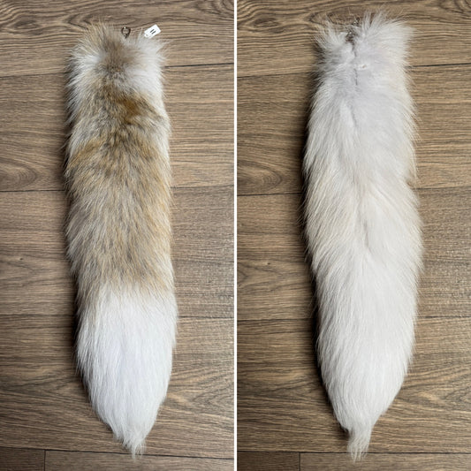 Arctic Golden Island fox tail keychain (11)