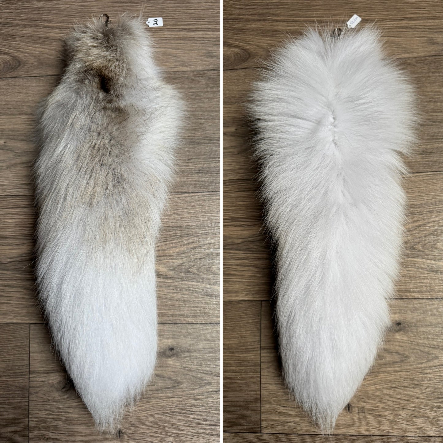 Arctic Golden Island fox tail keychain (20)