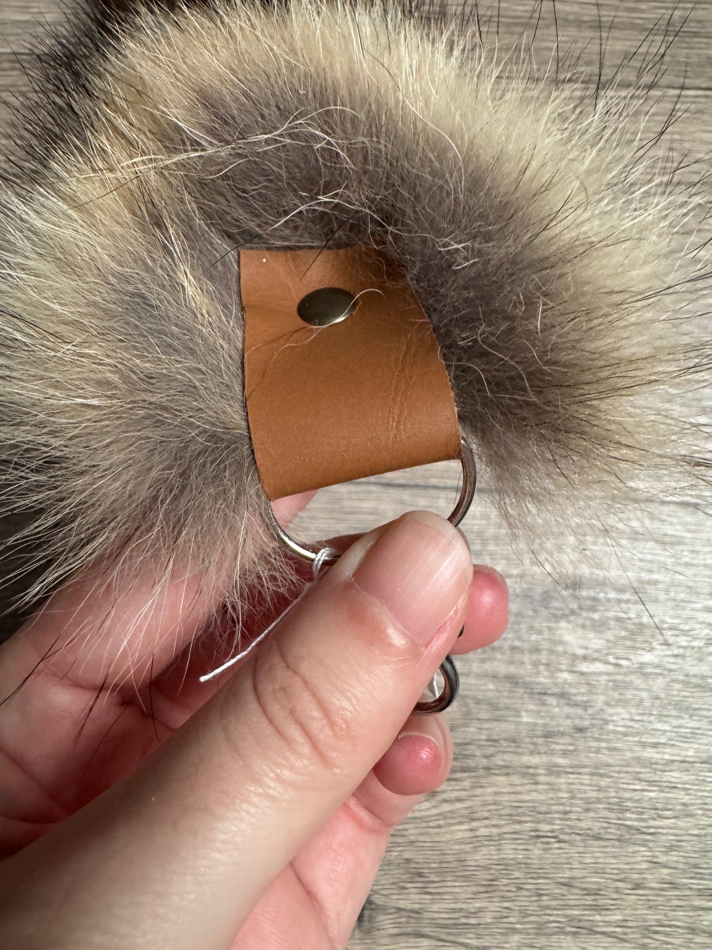 Coyote tail keychain (89)