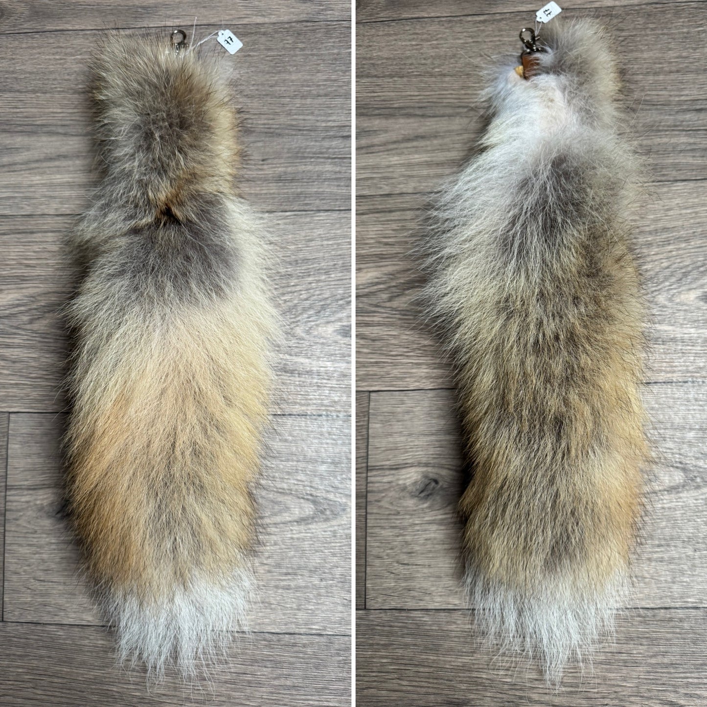 Coyote tail keychain (77)