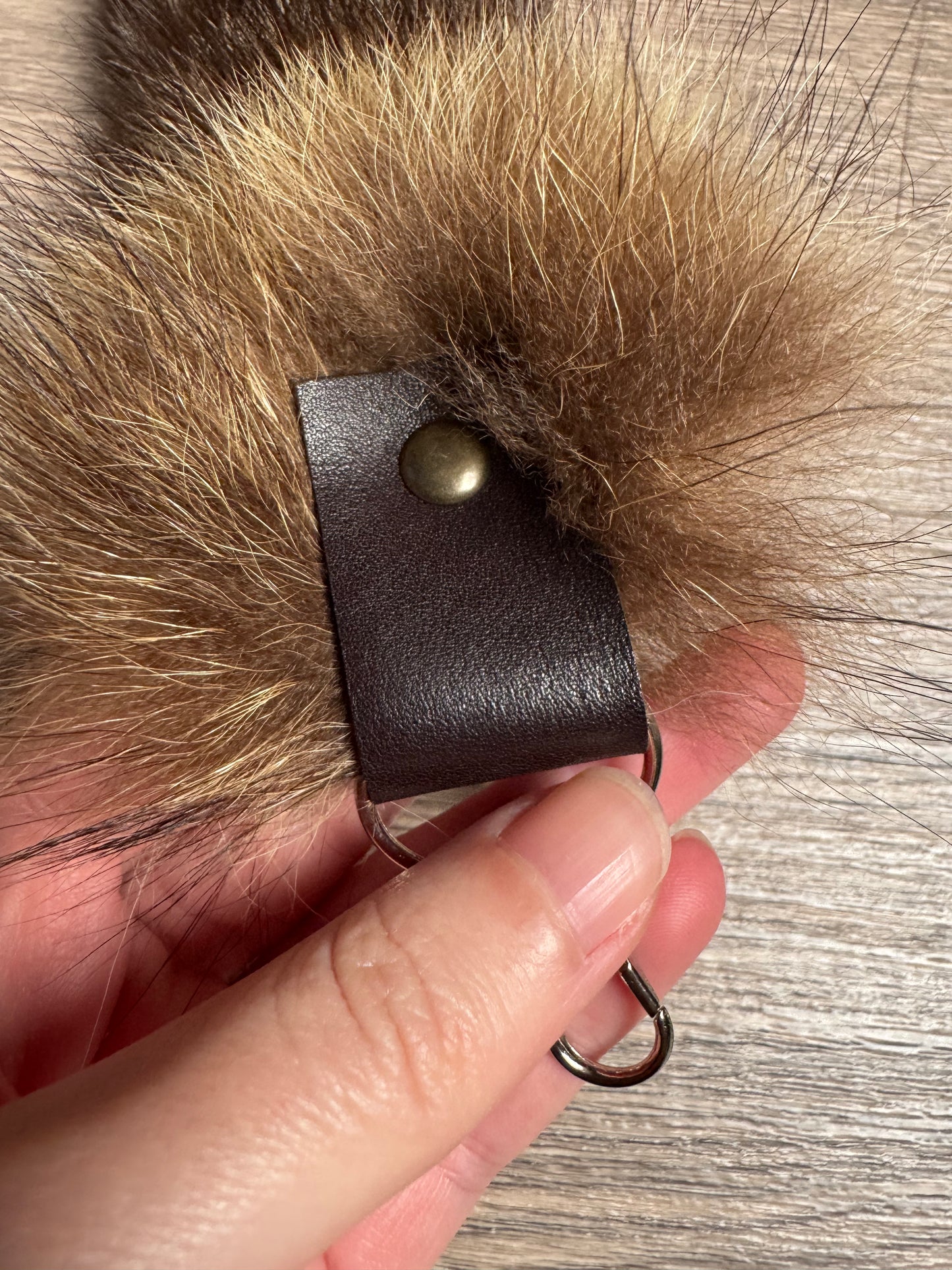 Raccoon tail keychain (166)