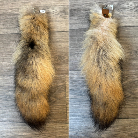 Coyote tail keychain (55)