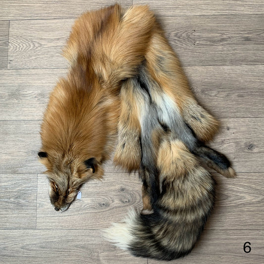 Gold fox pelt (6)