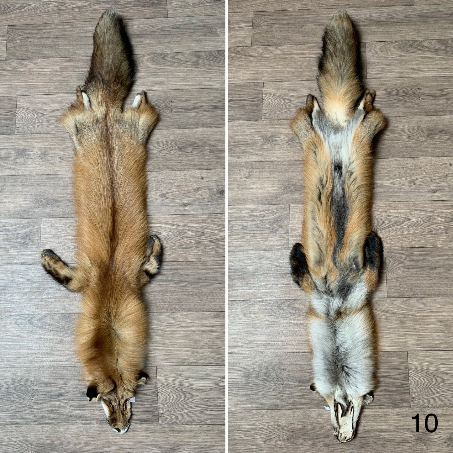 Gold fox pelt (10)