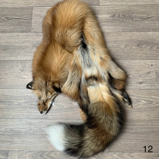 Gold fox pelt (12)