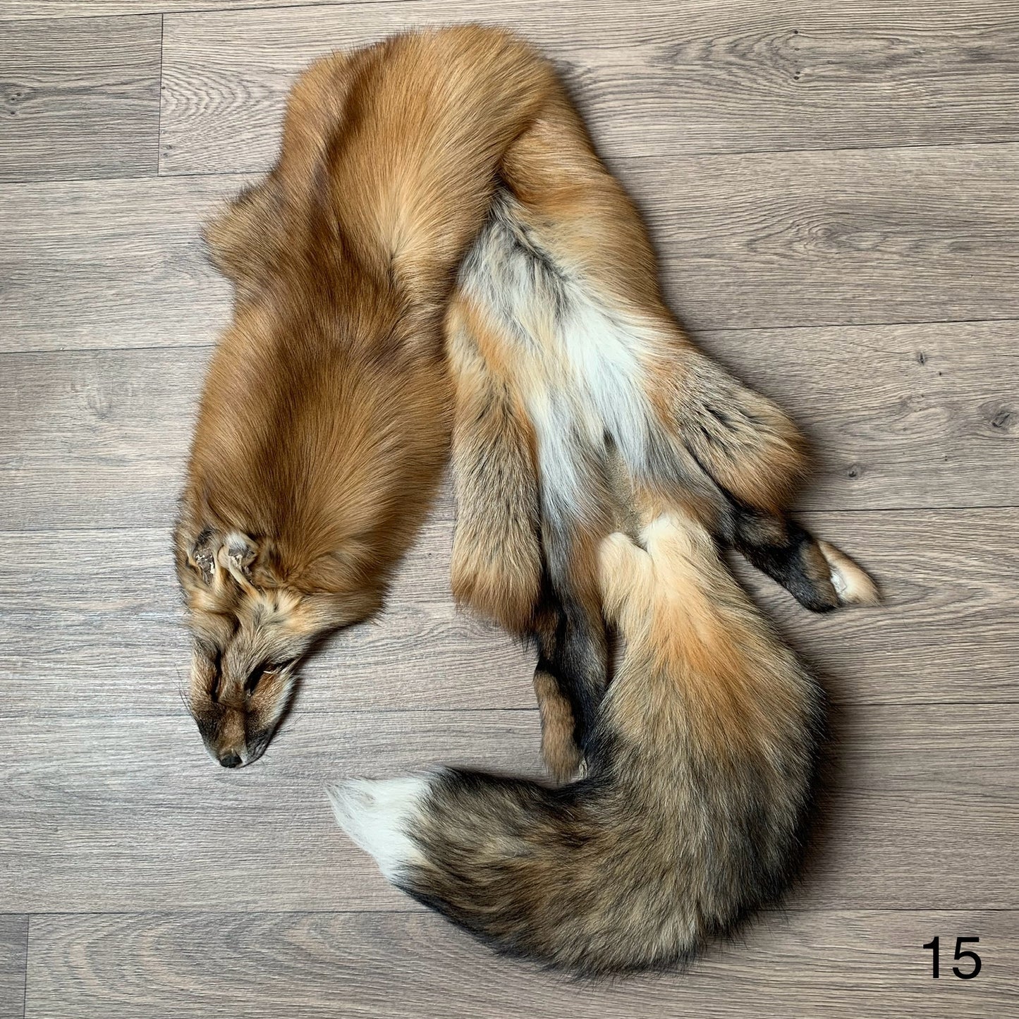 Gold fox pelt (15)