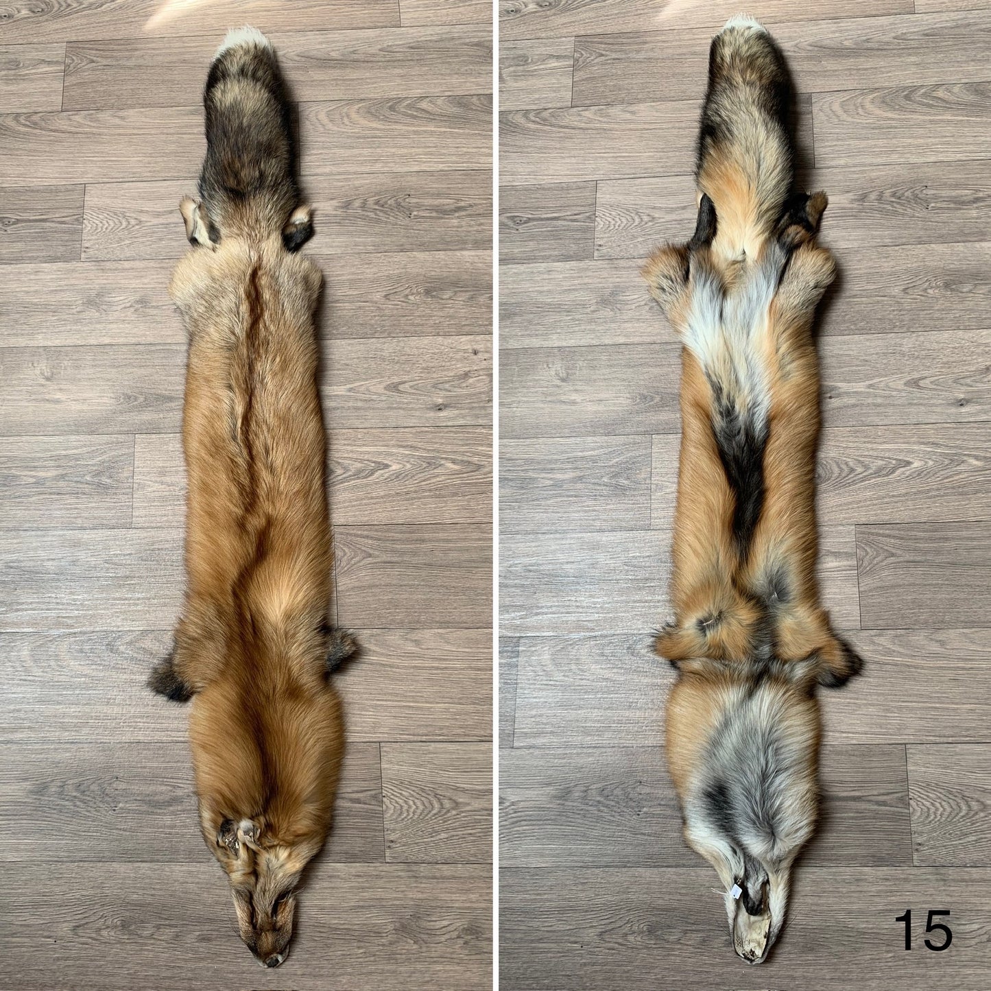 Gold fox pelt (15)