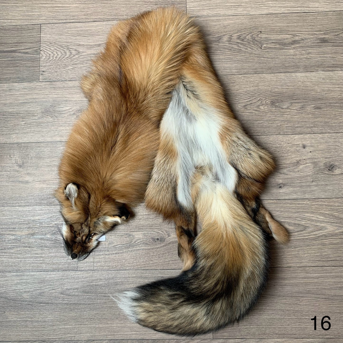 Gold fox pelt (16)