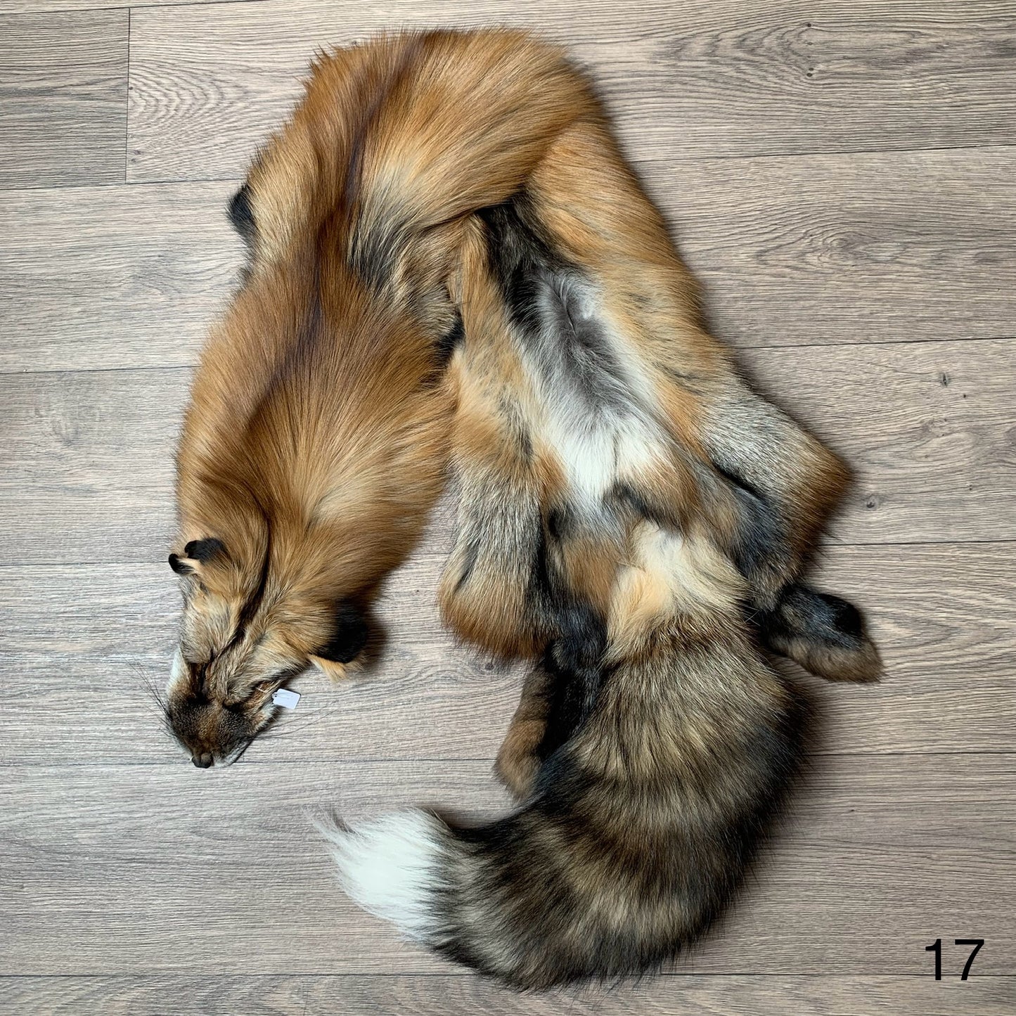 Gold fox pelt (17)