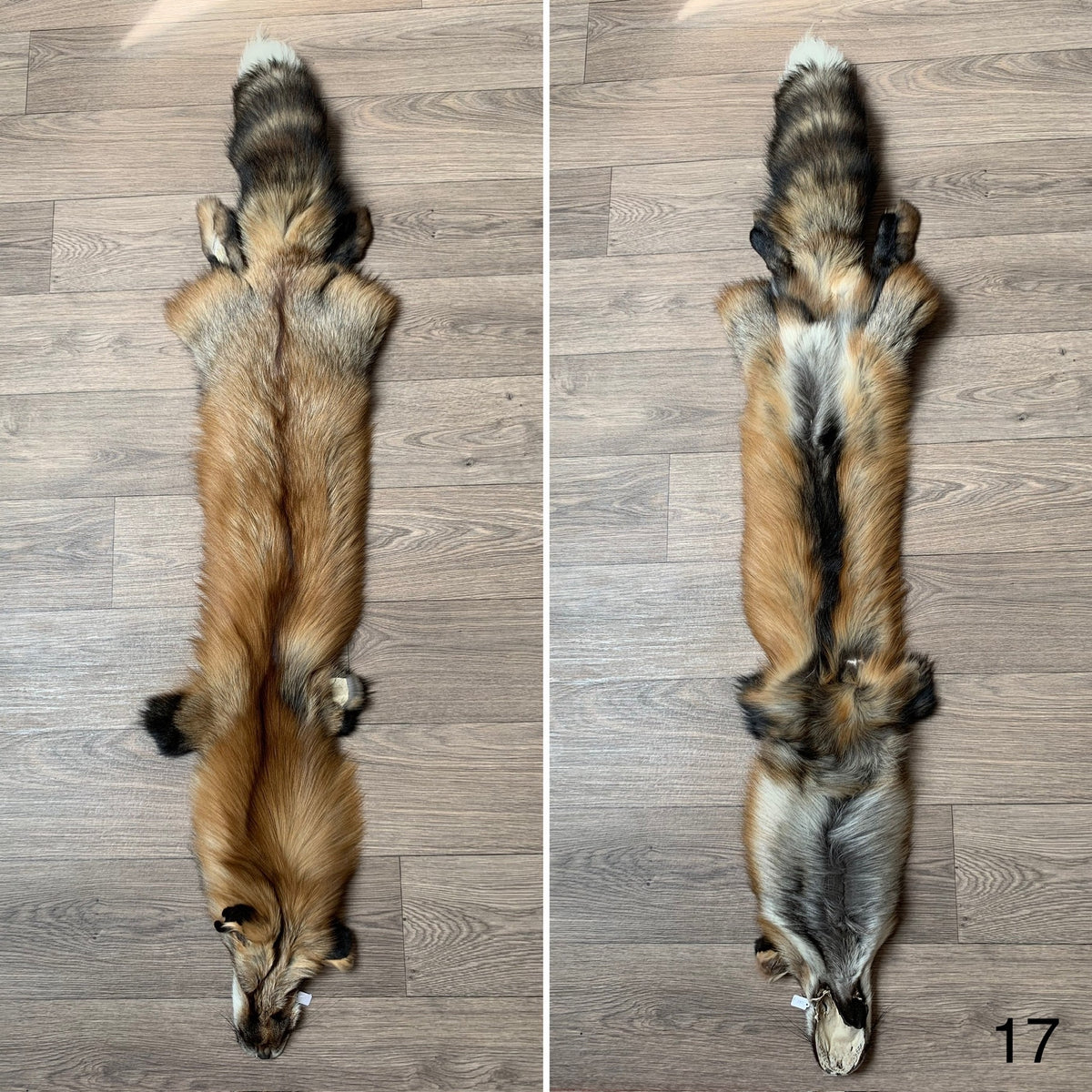 Pelt Rafiz Gold fox pelt (17) – Orange Lion Creations
