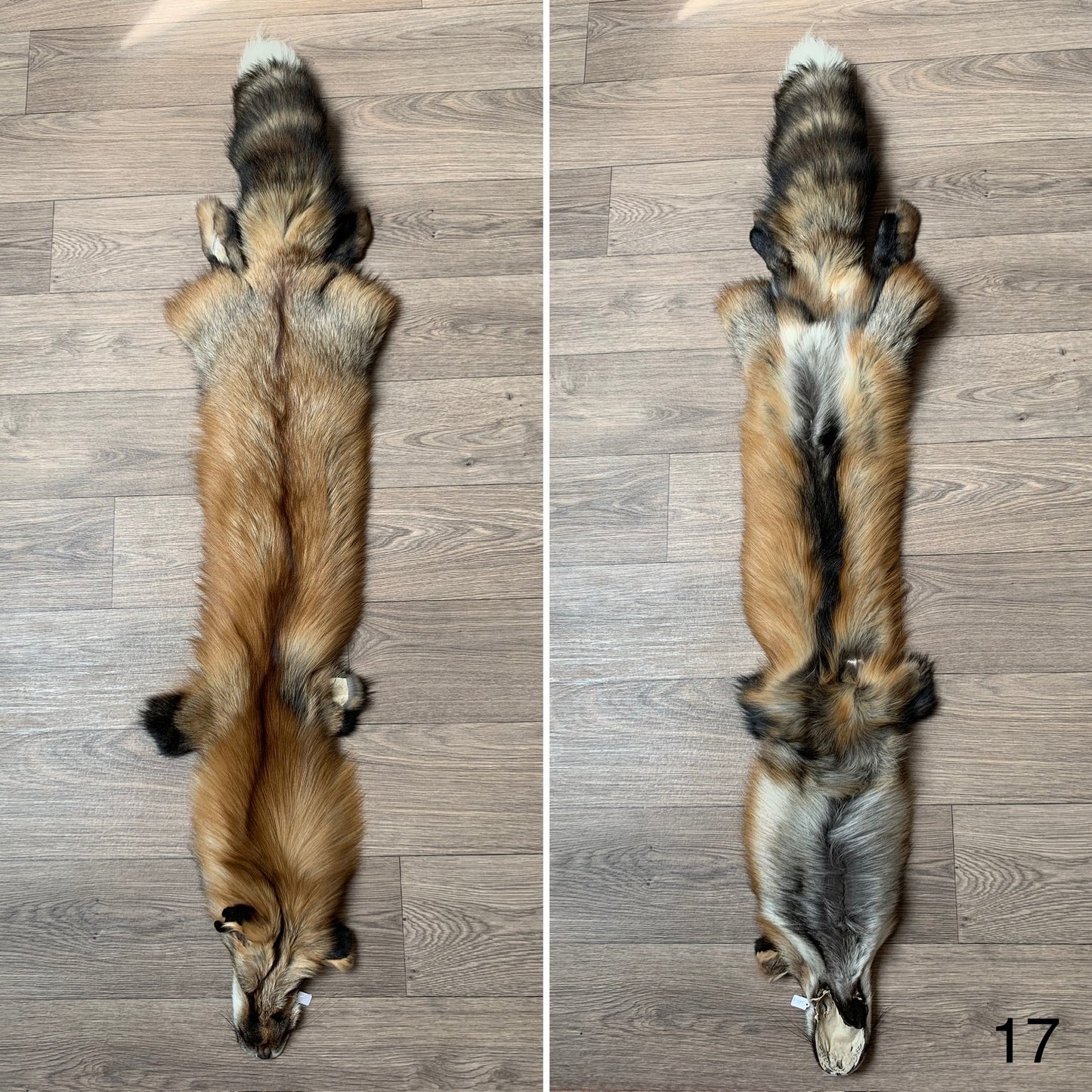 Gold fox pelt (17)