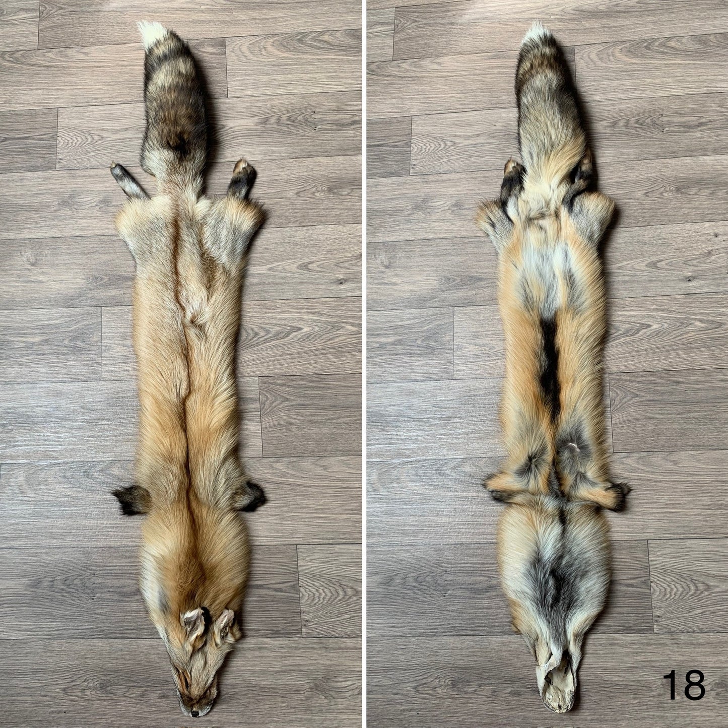 Gold fox pelt (18)