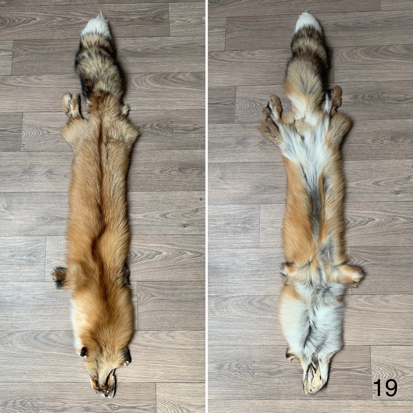 Gold fox pelt (19)