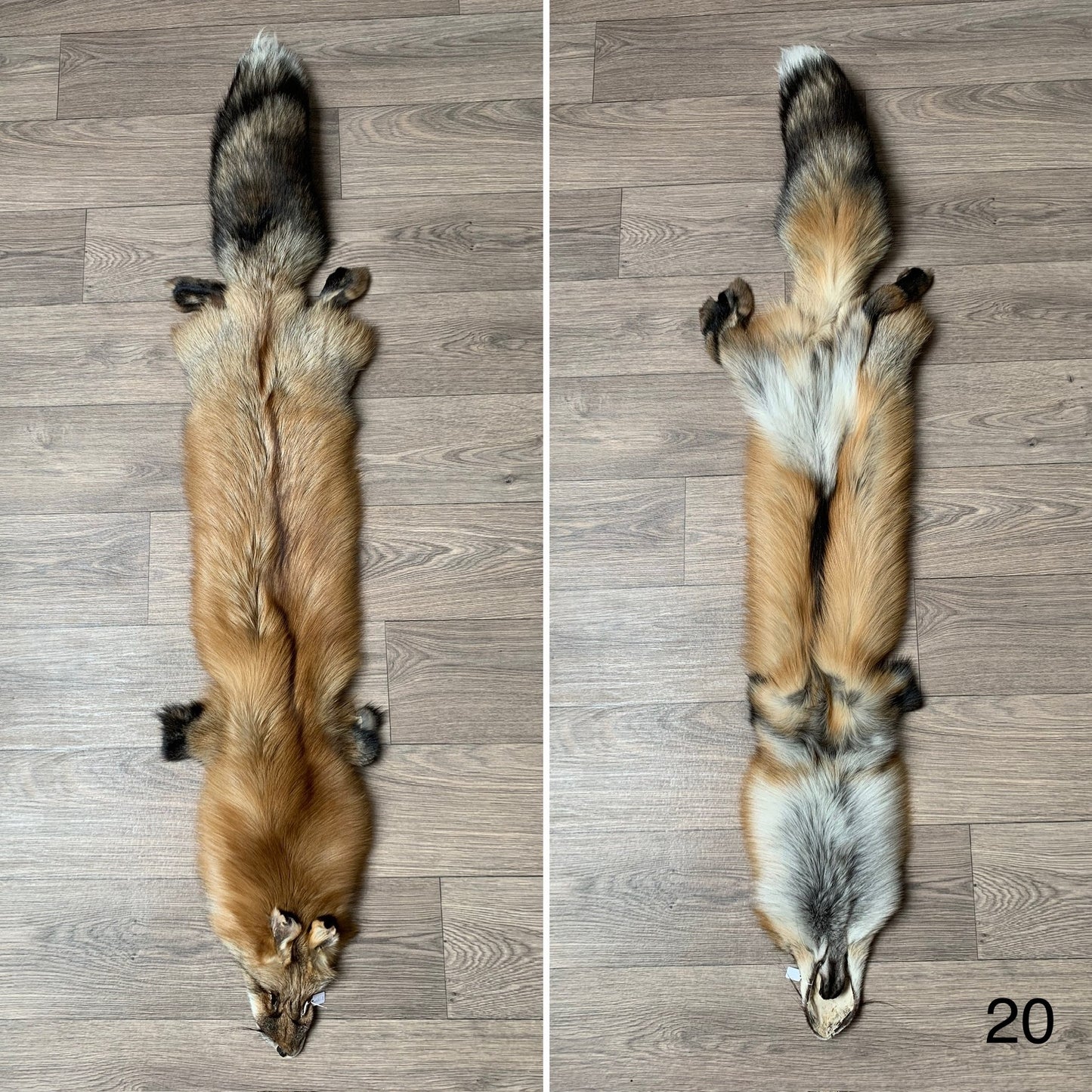 Gold fox pelt (20)