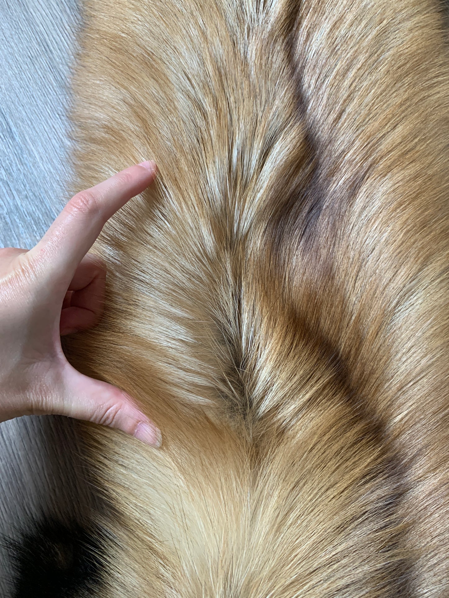 Gold fox pelt (20)