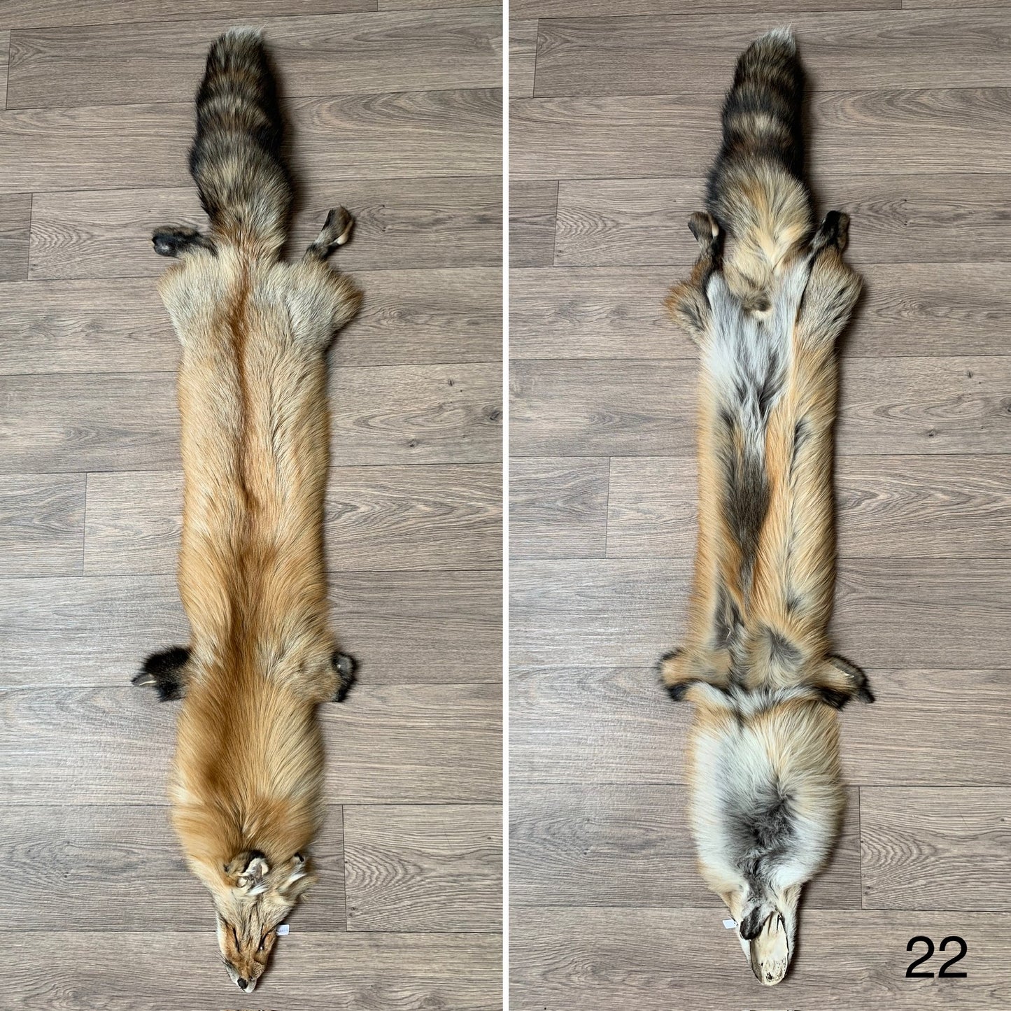 Gold fox pelt (22)