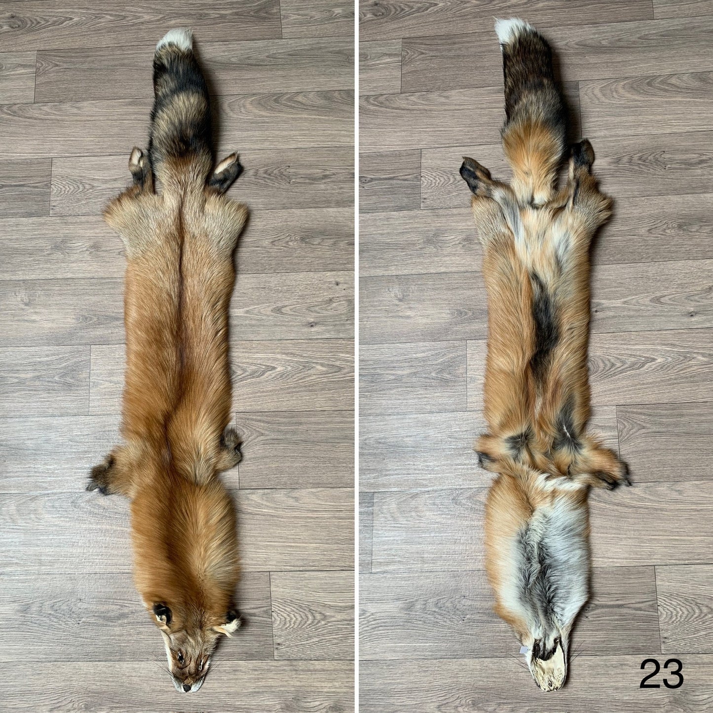 Gold fox pelt (23)