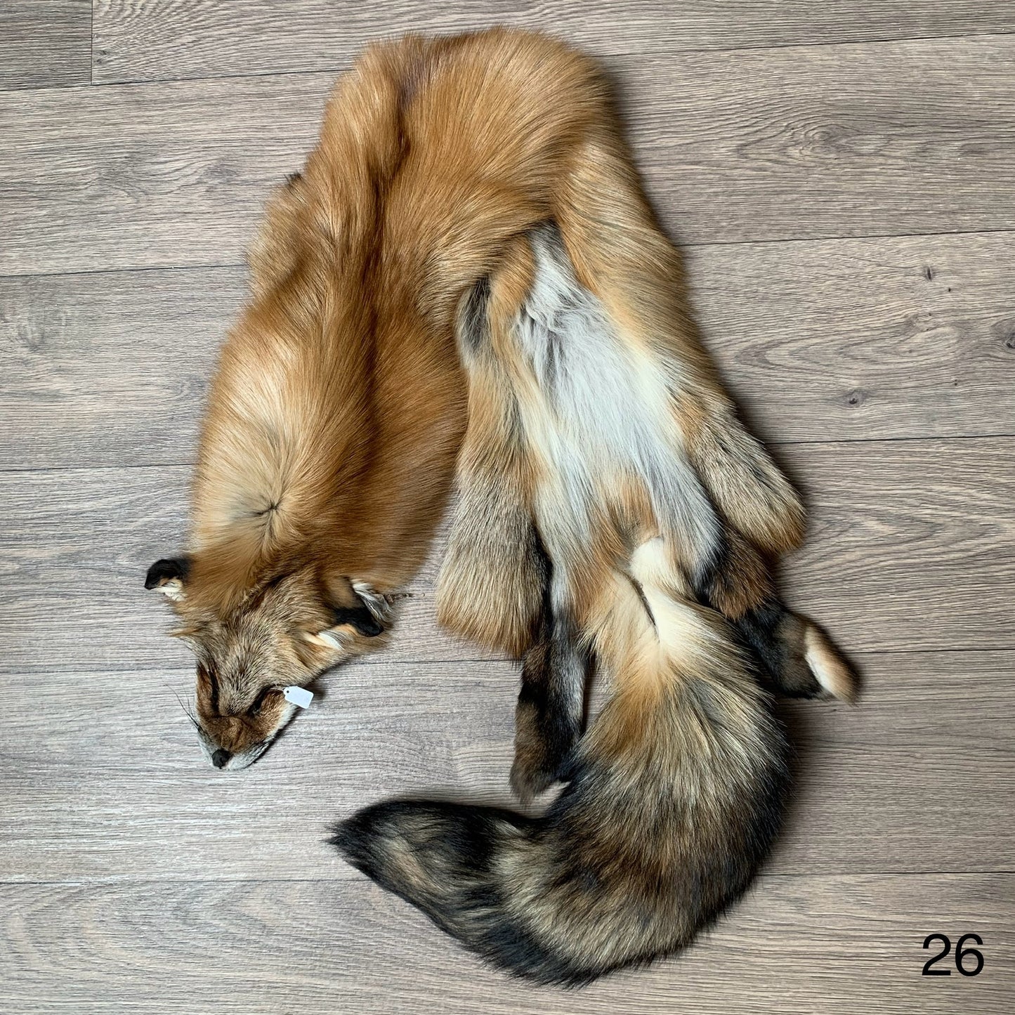 Gold fox pelt (26)