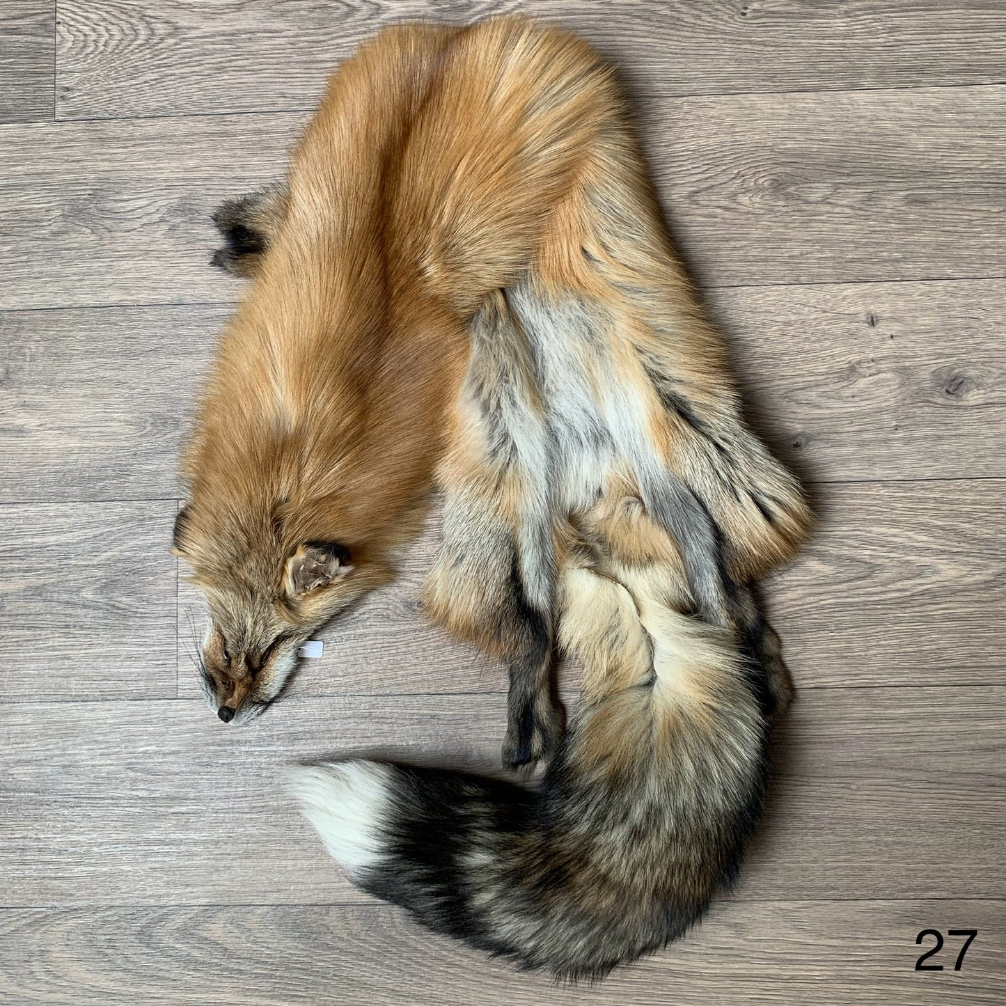 Gold fox pelt (27)