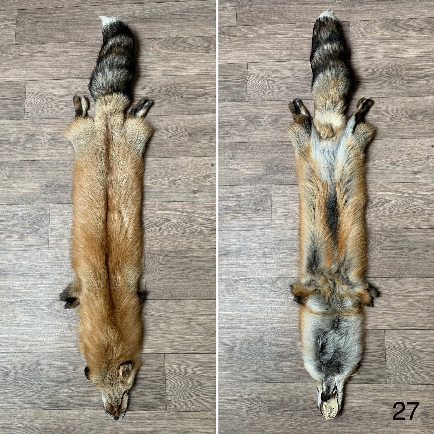 Gold fox pelt (27)