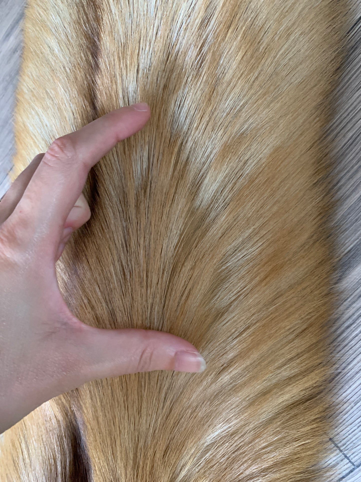 Gold fox pelt (27)