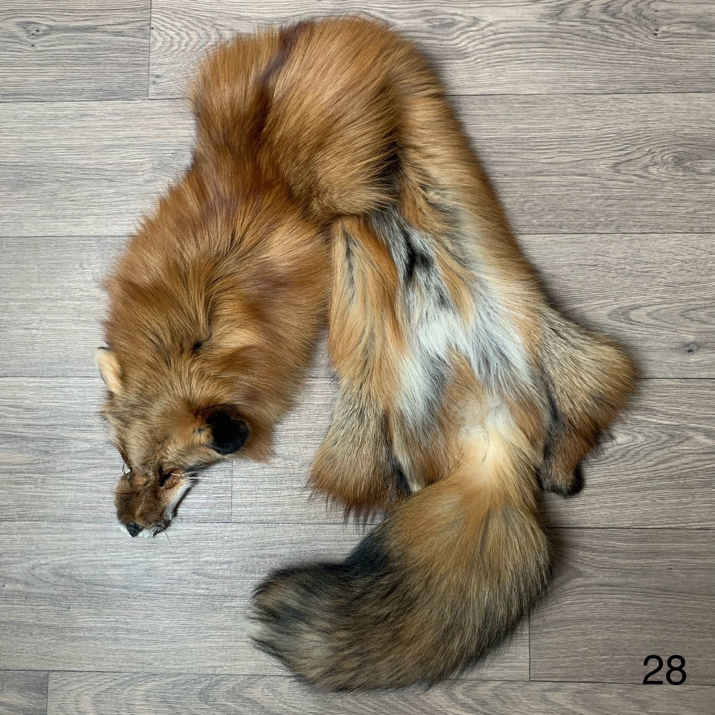 Gold fox pelt (28)