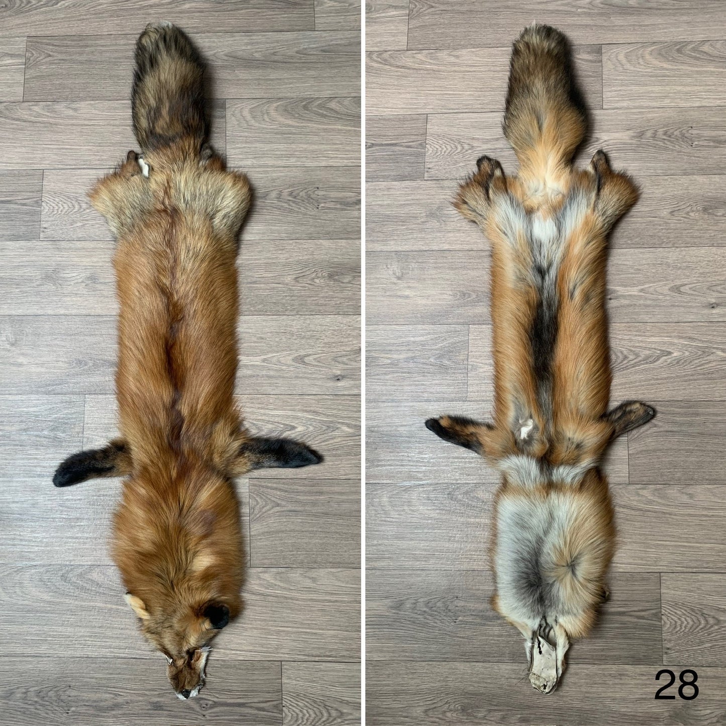 Gold fox pelt (28)