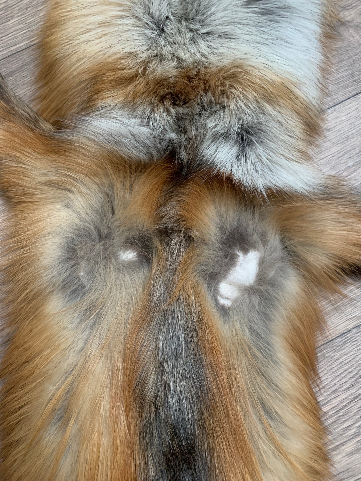 Gold fox pelt (28)